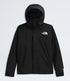 THE NORTH FACE Gtx Mountain Jacket Mens Apparel